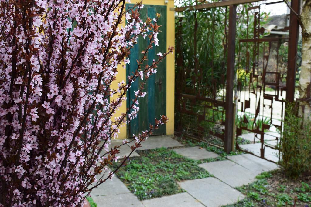 Agriturismo Casa De Colores Moretta Exterior photo